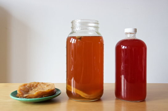 Choosing the Right Format for Kombucha Beverage Production